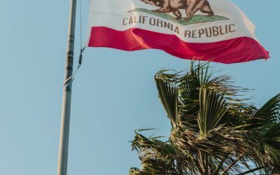 California State Appeals: Key Rule Updates You Should Know in 2026